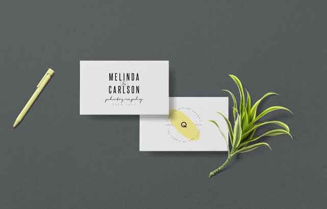 50 Trending Minimal Logo Bundle V02 ByXpertgraphicD Free Download 50-trending-minimal-logo-bundle-v02-free-download