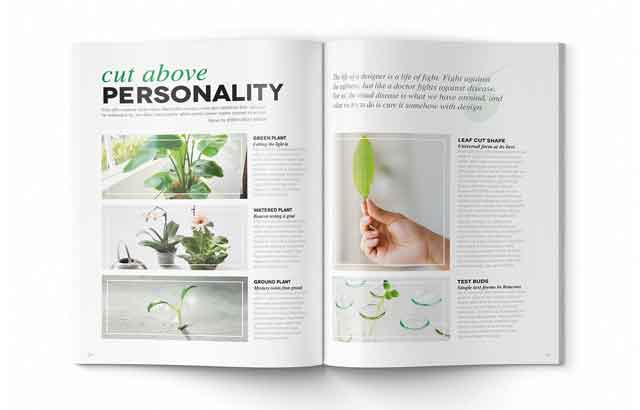 magazine-template-indesign-14-bylove-graphic-design-free-download