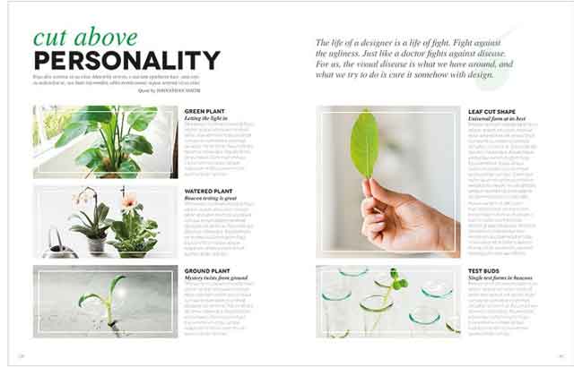 magazine-template-indesign-14-bylove-graphic-design-free-download