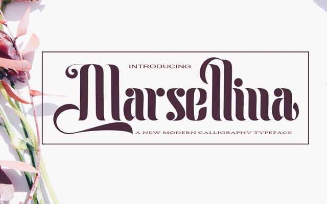 Marsellina Calligraphy Font Marsellina Calligraphy Font