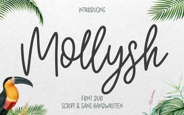 Mollysh Calligraphy Font Mollysh Calligraphy Font