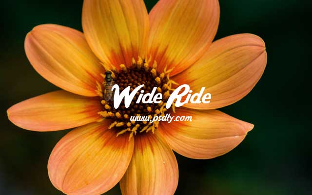 Wide Ride Font Wide Ride Font