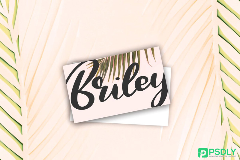 Qors-Minimalism-Script-Font