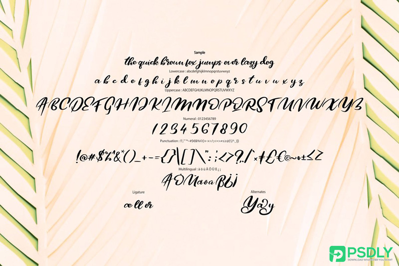 Qors-Minimalism-Script-Font