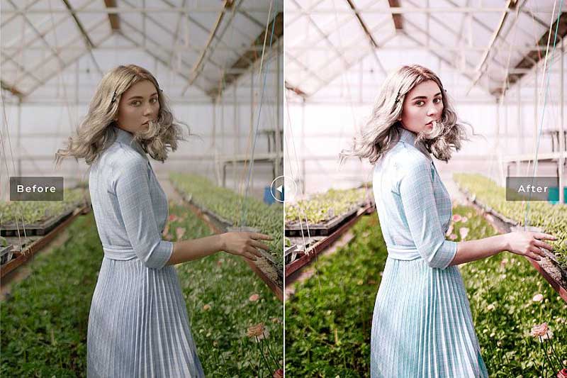 Blossom Mobile & Desktop Lightroom Presets 4 Blossom Mobile 2526 Desktop Lightroom Presets Download