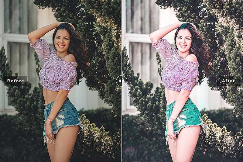 Blossom Mobile & Desktop Lightroom Presets 6 Blossom Mobile 2526 Desktop Lightroom Presets