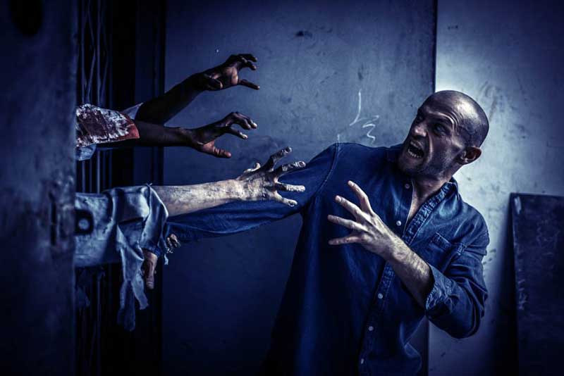 10 Lightroom Profiles - Jack 4623411 3 10 Lightroom Profiles Jack 4623411 Free Download