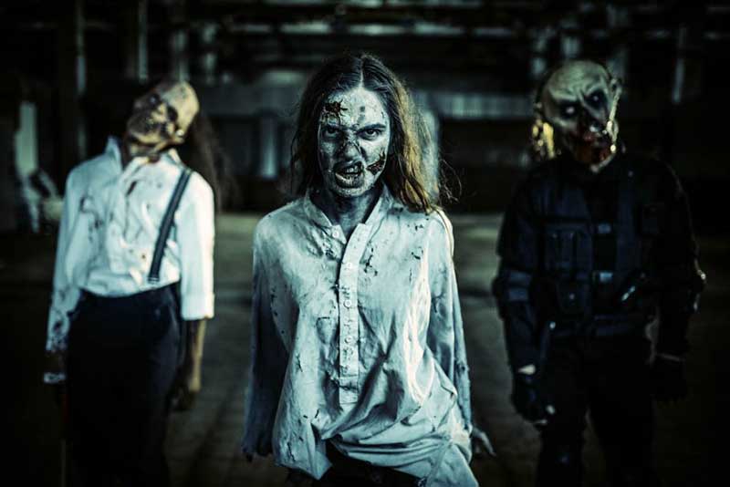 10 Lightroom Profiles - Jack 4623411 4 10 Lightroom Profiles Jack 4623411 Free Now