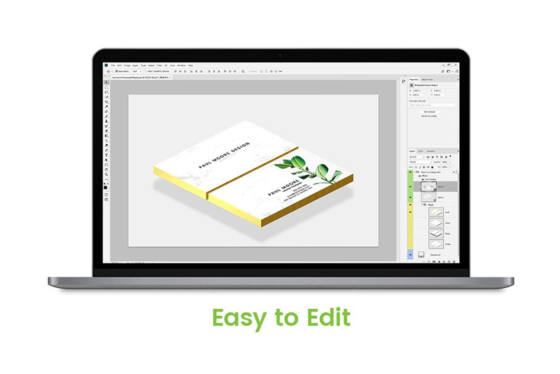 12 Simple Business Card Mockups 2008033 6