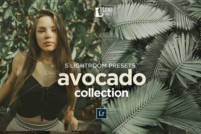 AVOCADO Lightroom Presets 4619013 Free Download