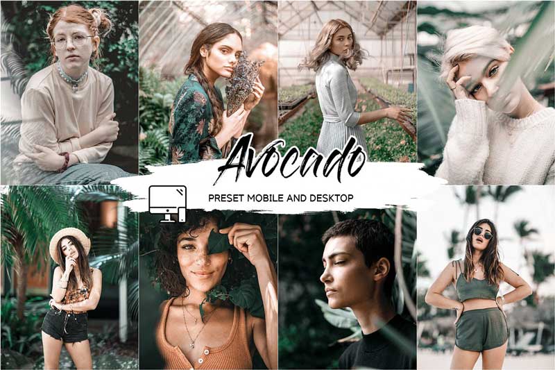 Avocado Lightroom Presets 252B Luts Free Download