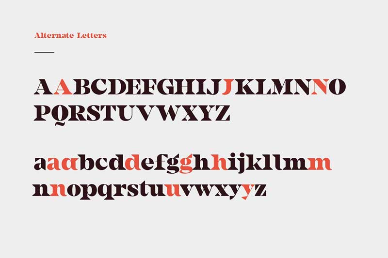 Camijo Display Serif Font 4677910 5 Camijo Display Serif Font 4677910 Free