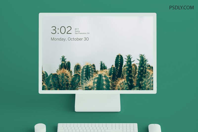 Desktop Layout Mockup