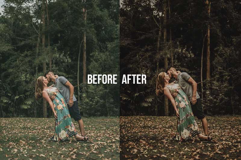 FALL Autumn Collection LR Presets 4628493 2 FALL Autumn Collection LR Presets 4628493 Free Download