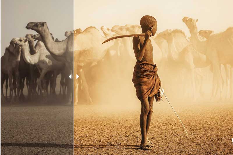 Lightroom Presets (Mobile + Desktop) 4462585 Lightroom Presets (Mobile + Desktop) 4462585