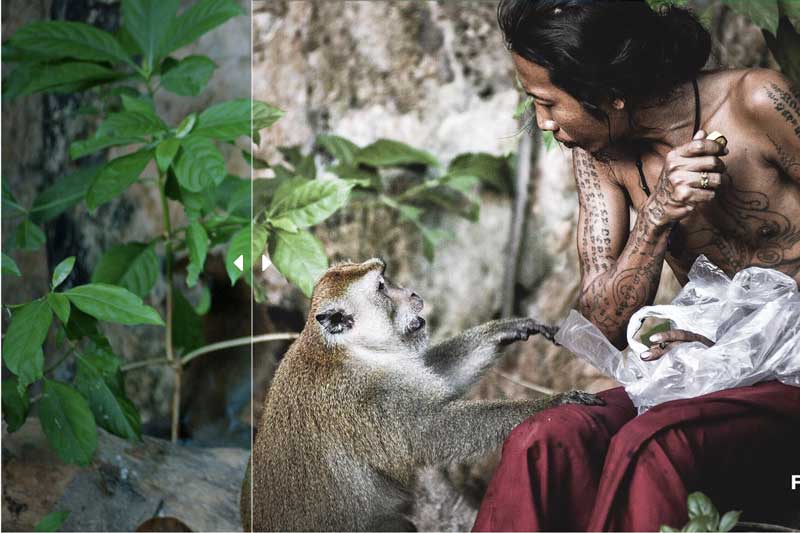 Lightroom Presets (Mobile + Desktop) 4462585 Lightroom Presets (Mobile + Desktop) 4462585