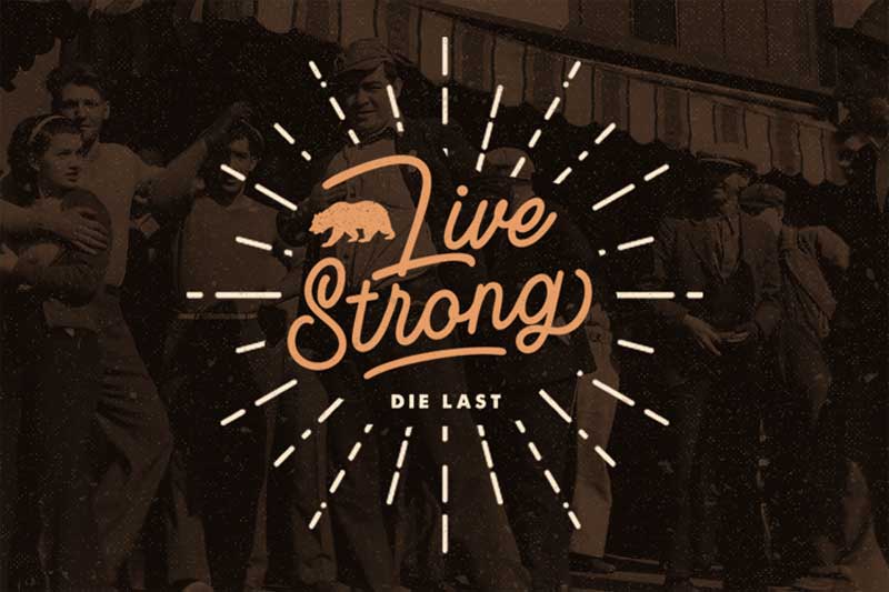 Rotherham Signature Font Typeface 489474 4 Rotherham Signature Font Typeface 489474 Free Download