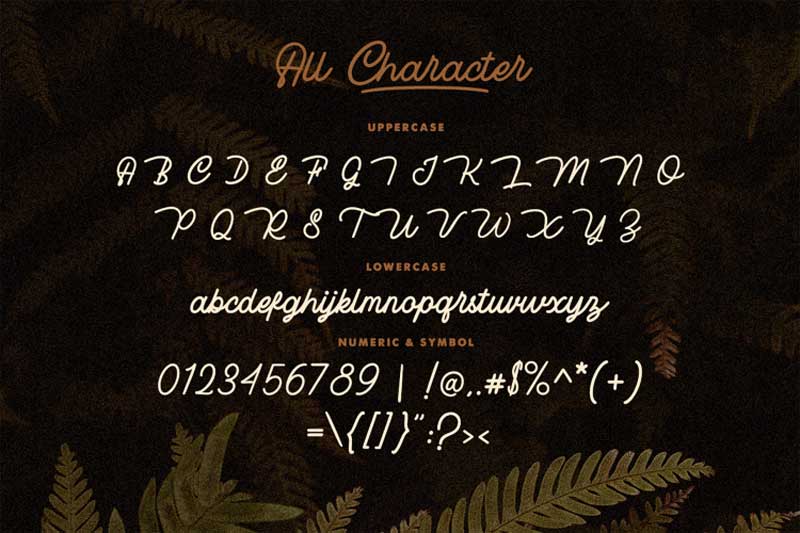 Rotherham Signature Font Typeface 489474 8 Rotherham Signature Font Typeface 489474 Free