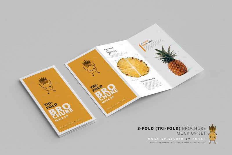 3 Fold 2528Tri Fold2529 Brochure Mockups 26039647