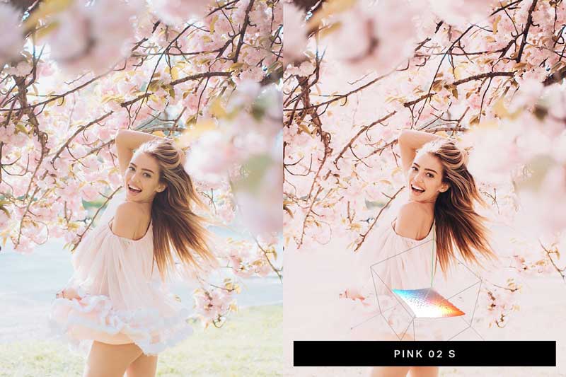 50 Sakura Lightroom Presets and LUTs 4498892 50 Sakura Lightroom Presets and LUTs 4498892