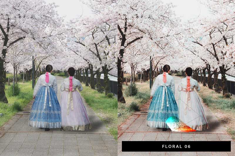 50 Sakura Lightroom Presets and LUTs 4498892 50 Sakura Lightroom Presets and LUTs 4498892
