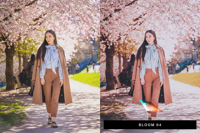 50 Sakura Lightroom Presets and LUTs 4498892 50 Sakura Lightroom Presets and LUTs 4498892