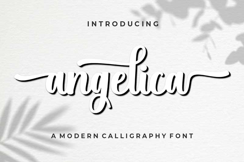 Angelica Script Font Family