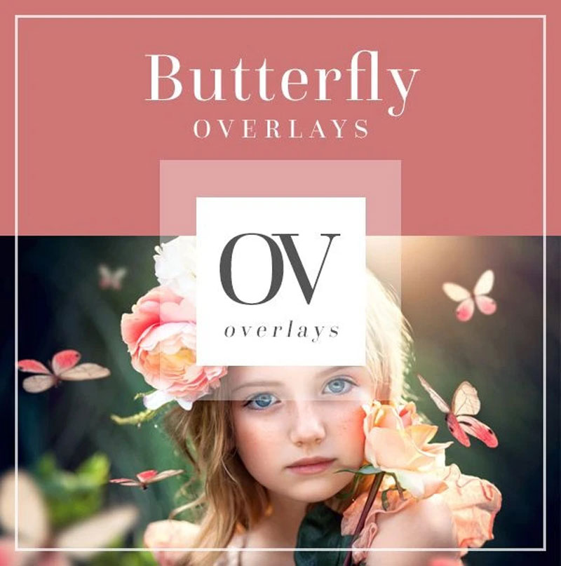 Bellevue Butterfly Overlays