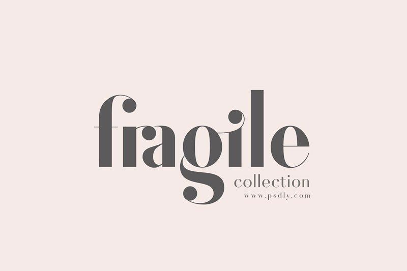 Fragile Collection 2528Font Bundle2529