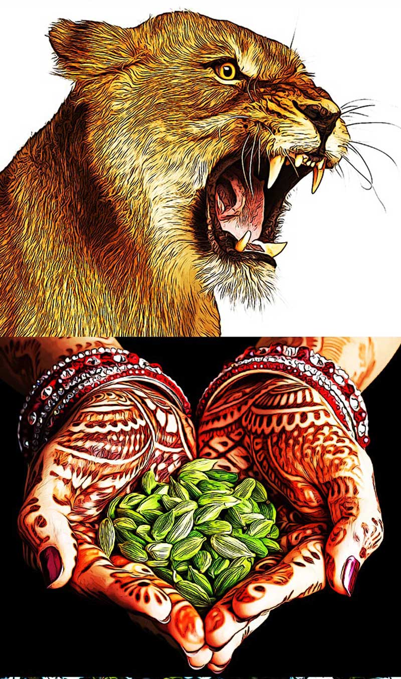 Magazine Line Art - Photoshop Action 26096233 Magazine Line Art - Photoshop Action 26096233