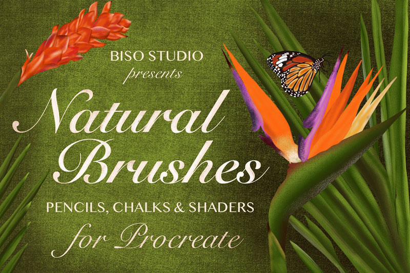 Natural Brushes for Procreate