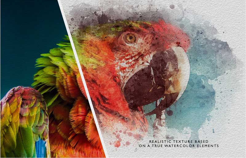 Watercolor Creator • Second Edition 3924431 Watercolor Creator • Second Edition 3924431