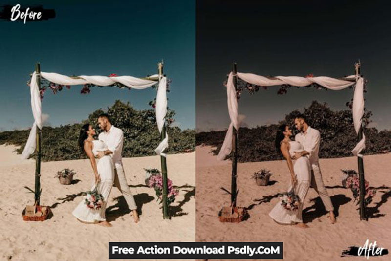 5 Dark Brown Photoshop Actions, ACR LUT 5 Dark Brown Photoshop Actions, ACR LUT