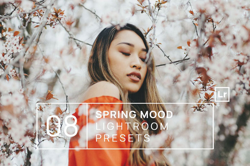 8 Spring Mood Lightroom Presets