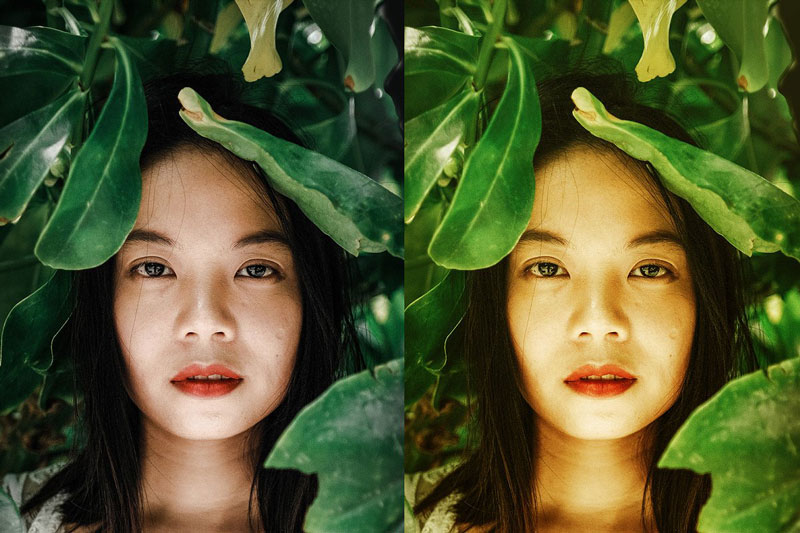 Lemonade Actions 4886511 Lemonade Actions 4886511