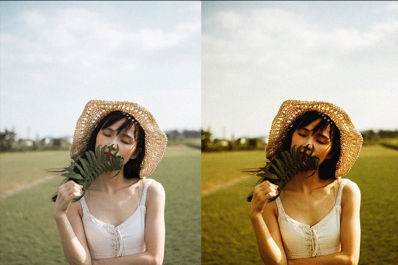 Lemonade Actions 4886511 Lemonade Actions 4886511