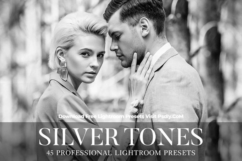 Silver Tones Presets Lightroom 4802232
