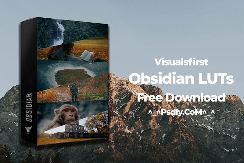 Visualsfirst Obsidian LUTs Free Download