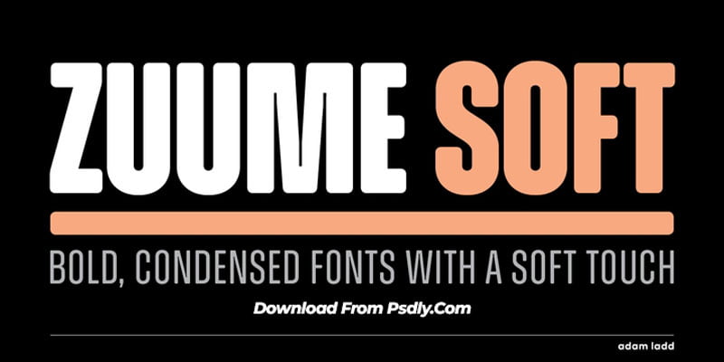 Zuume Soft Font Family