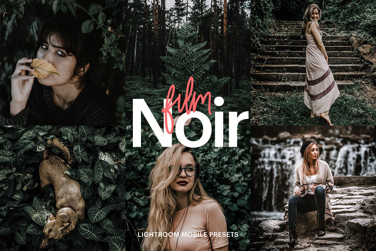 Lightroom Preset-Film Noir Theme 4973155