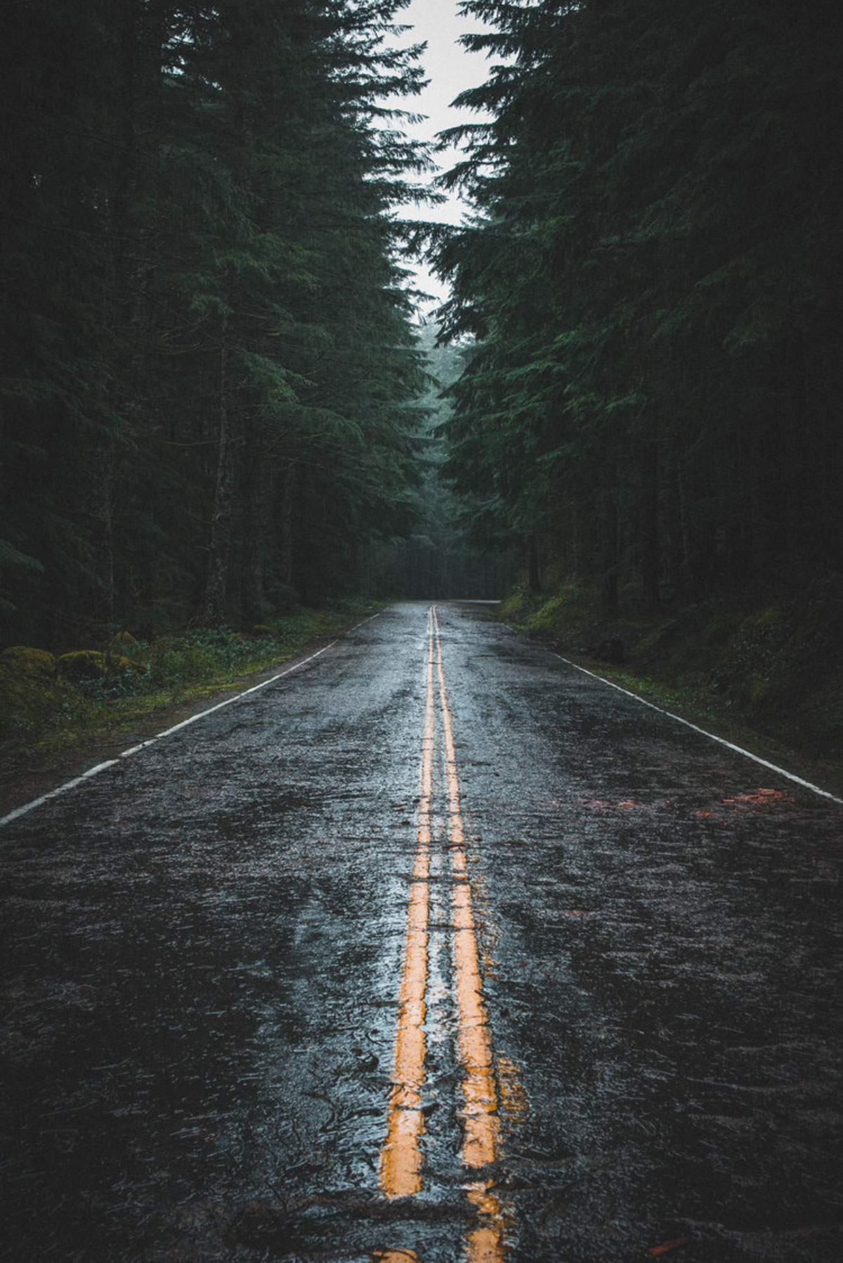 Moody" Lightroom Presets