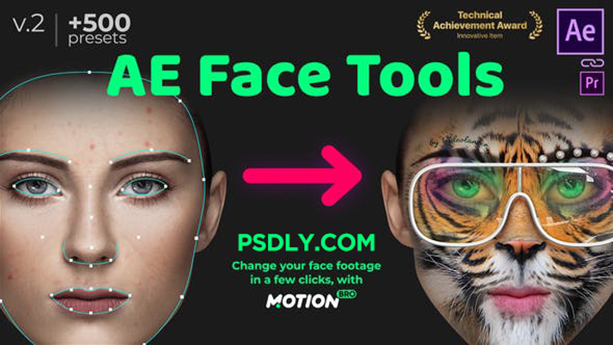 Videohive AE Face Tools V2 24958166