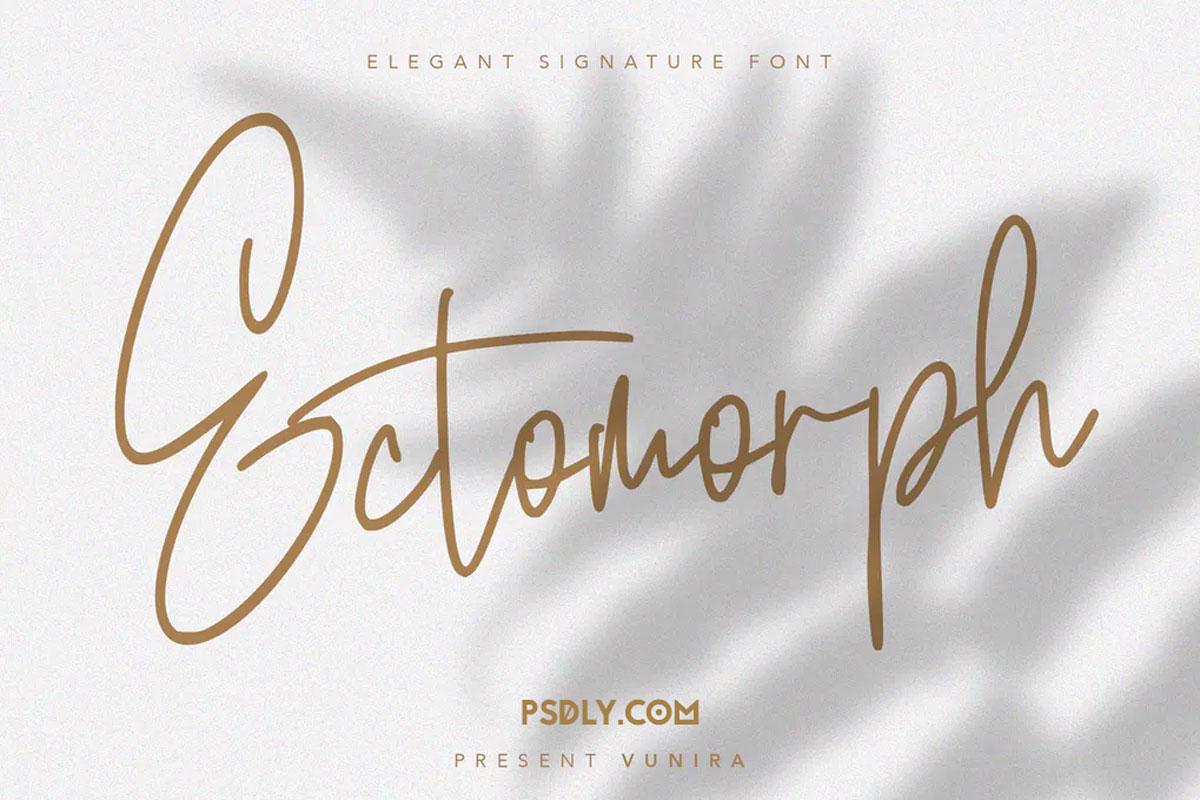 Ectomorph | Elegant Signature Font