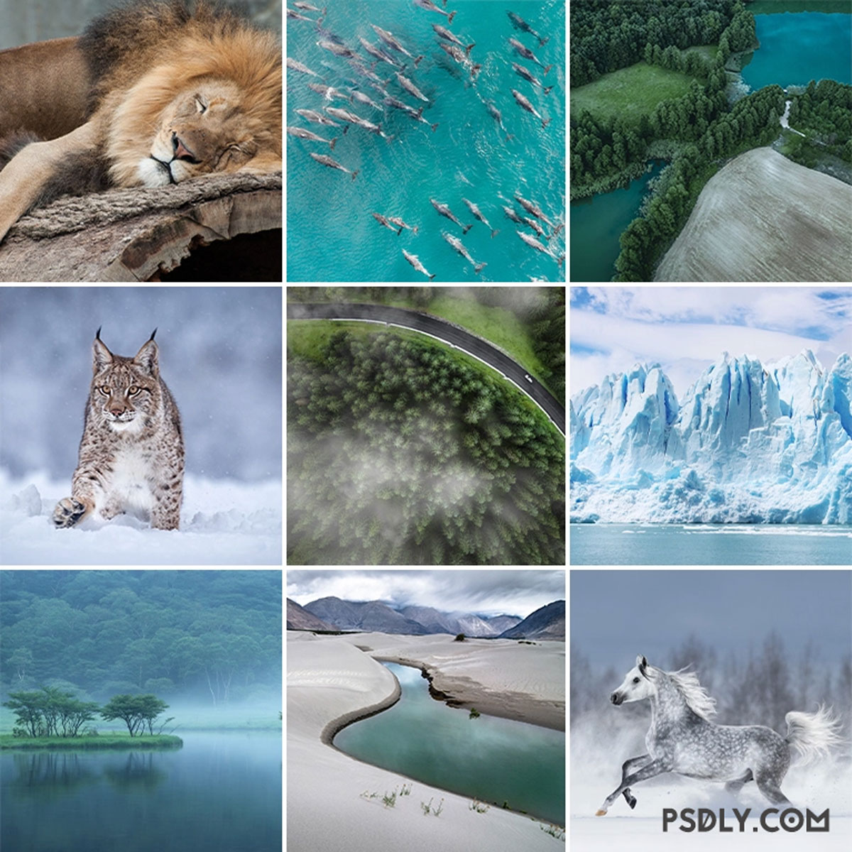 Vibrant Nature LUTs for Photo & Video