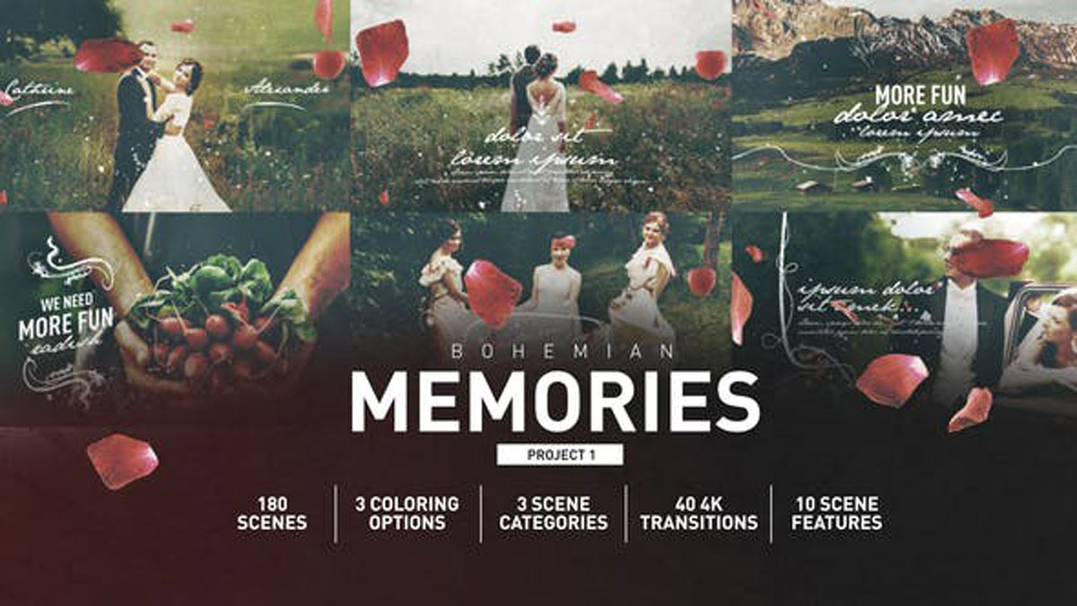 Videohive Wedding Memories 25652795