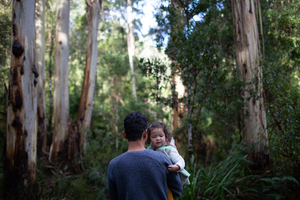 Forest Field Preset Collection Desktop Mobile Download