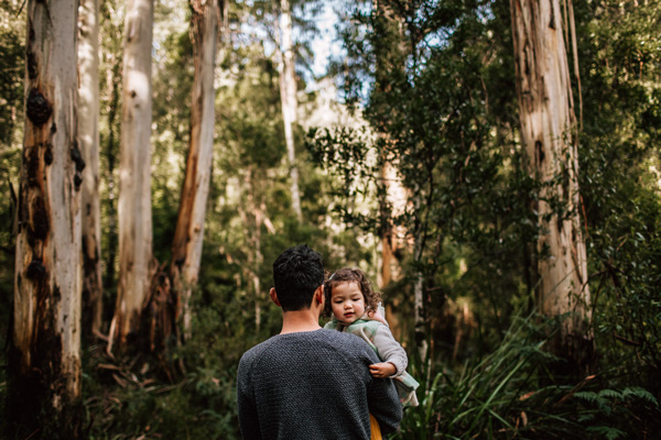 Forest Field Preset Collection Desktop Mobile Free