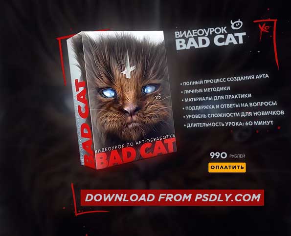 Max Twain Bad Cat Editing Video