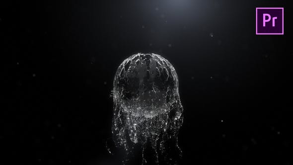 Videohive Spherical Liquid Logo Reveal Premiere Pro 22633678