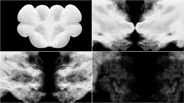 Videohive Symmetrical Smoke Reveal 22998250